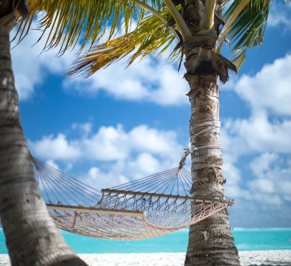 Galería de imágenes en miniatura